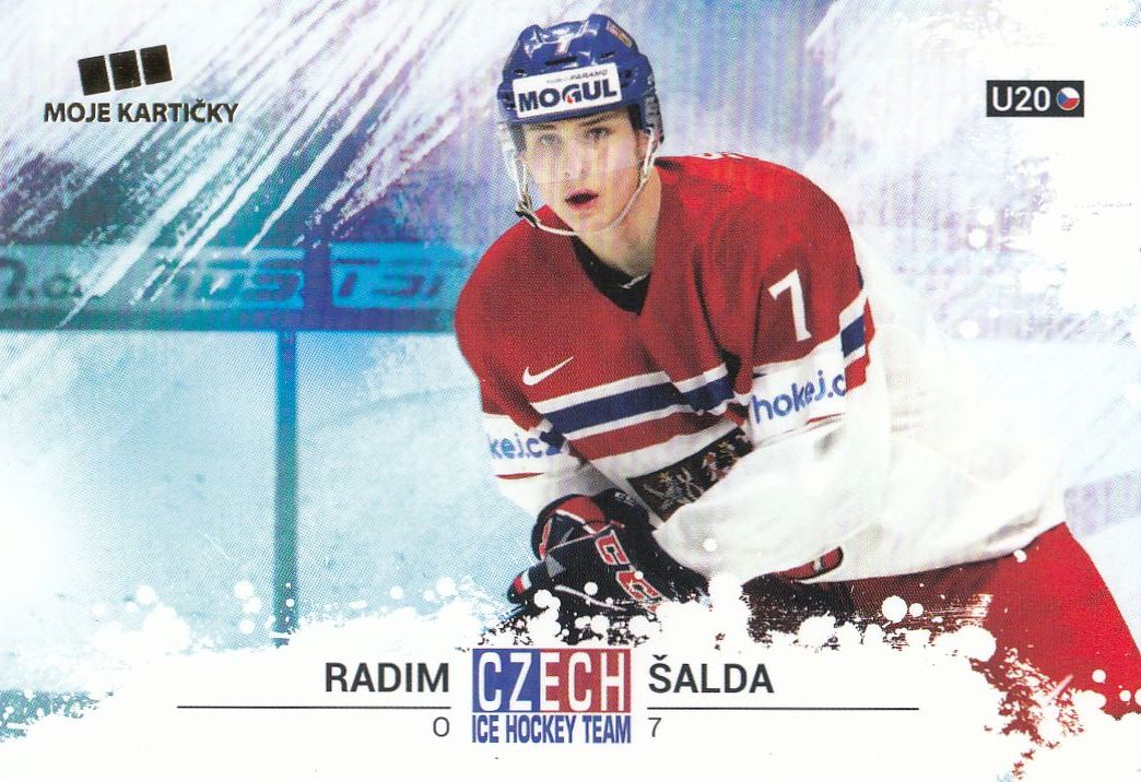 řadová karta RADIM ŠALDA 17-18 Czech Ice Hockey Team číslo 53