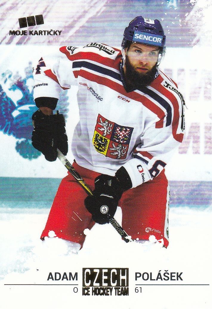 paralel karta ADAM POLÁŠEK 17-18 Czech Ice Hockey Team Gold /25