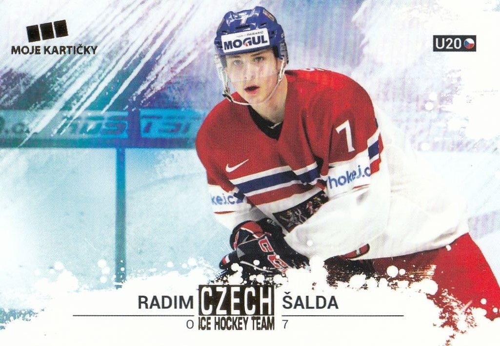 paralel karta RADIM ŠALDA 17-18 Czech Ice Hockey Team Gold /25