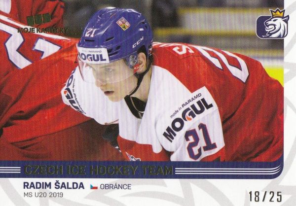 paralel karta RADIM ŠALDA 18-19 Czech Ice Hockey Team Gold /25